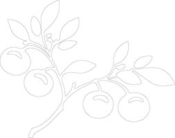 crabapple  outline silhouette vector