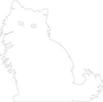 Himalayan Colorpoint Persian Cat  outline silhouette vector