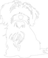 Havanese  outline silhouette vector