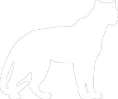 puma    outline silhouette vector