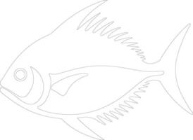 pompano    outline silhouette vector