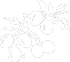 apricot  outline silhouette vector