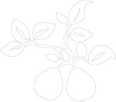 quince  outline silhouette vector