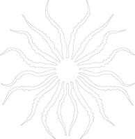 brittlestar outline silhouette vector