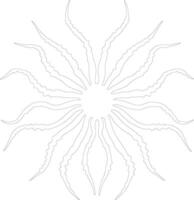 brittlestar outline silhouette vector