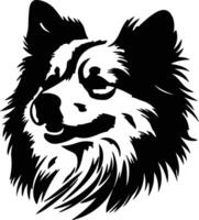 American Eskimo Dog  silhouette portrait vector