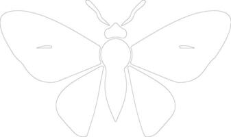 jumping bean moth  outline silhouette vector