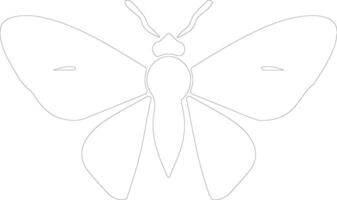 jumping bean moth  outline silhouette vector