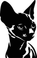 Devon Rex Cat  silhouette portrait vector