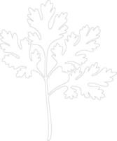 parsley  outline silhouette vector