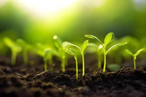 AI generated Growing sprouts in the soil. The joy of growing your own food. Getting started in the garden photo