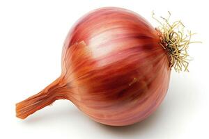 AI generated Close Up of an Onion on a White Background A detailed view of a single onion, showing its layers and texture, set against a plain white background. photo