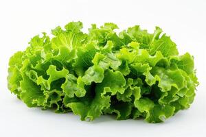 AI generated Lettuce Leaves on a White Background A close-up photograph of fresh lettuce leaves arranged neatly on a white background, showcasing their vibrant green color and crisp texture. photo