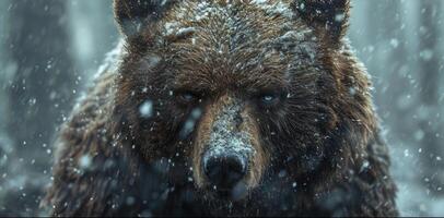 ai generado marrón oso con oscuro piel soportes en un Nevado bosque en siberiano Nevado antecedentes. foto