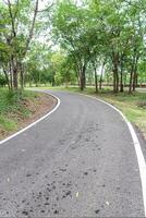 Asphalt road in the park with tree and green grass background. photo