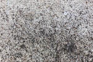 Cement surface grunge background photo