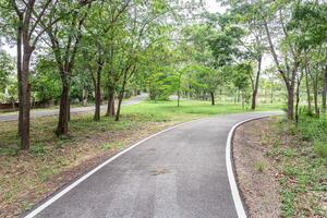 bicicleta carril en el parque con árbol y verde césped antecedentes. foto