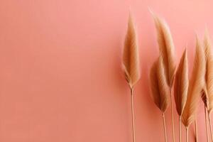 AI generated Pampas grass background, white fluffy pampas grass photo