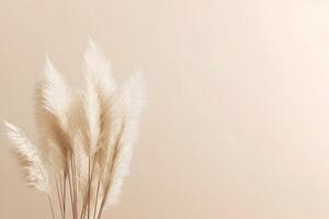 AI generated White fluffy pampas grass background photo