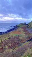 Aussicht von das schön Natur Weg von Carrick ein erlösen im Nord Irland. video