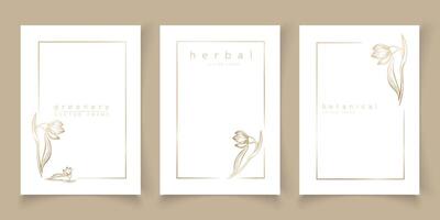 Set of frame snowdrop flower templates in minimal linear style hand drawn style. Elegant frames. Botanical vector illustration for labels, corporate identity, wedding invitation, logo, save the date