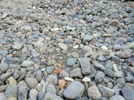 rocas en el yarda de un casa en el campo foto