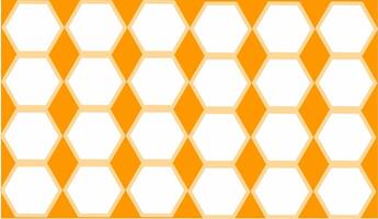 white and brown hexagon pattern vector