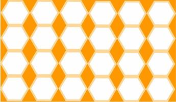 white and brown hexagon pattern vector