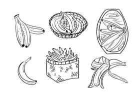 Hand drawn sketchy outline set with banana fruits. Doodle black contour fruits in basket and on plate on white background. Ideal for coloring pages, tattoo, pattern vector