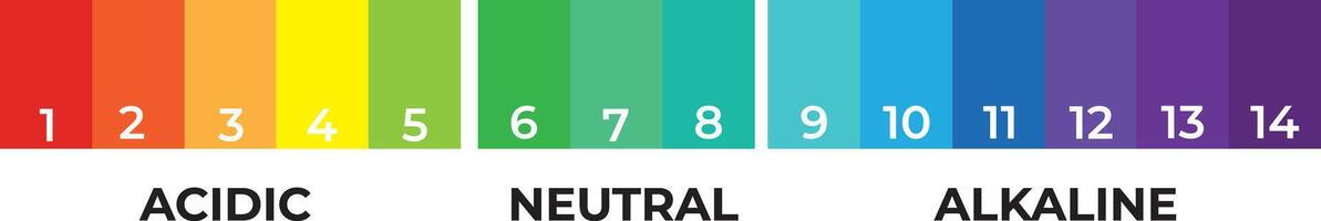 pH scale indicator chart diagram acidic alkaline measure. pH analysis vector chemical scale value test