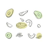 Set of avocado fruits half, sliced and leaf, seed. Vector illustration with simple round. Can used for wrapping, packaging, poster, cover design, textile and backdrop for cosmetic, food vegan products