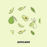 Sketch drawing banner of avocado, outline avocado and half, sliced fruit and seed. Vector illustration can used for wrapping paper, banner and cover design.