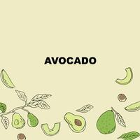 Sketch drawing banner or card, outline avocado fruit and half, sliced fruit and seed. Vector illustration can used for wrapping paper, banner and cover design.