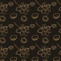Hand drawn Golden seamless pattern of Macadamia nut vector