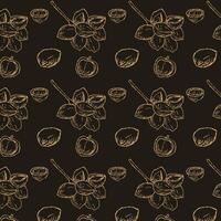 Hand drawn Golden seamless pattern of Macadamia nut vector