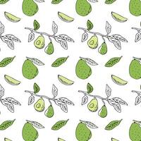 Avocado outline and color seamless pattern. Whole avocado, sliced pieces, half, leaf and seed, avocado on branch - sketch. Hand drawn vector illustration can used for wrapping, textile, poster.