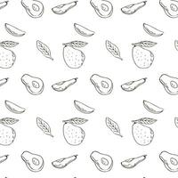 Sketch drawing pattern with avocado sliced, half and fruit with leaf. Vector illustration can used for wrapping paper, banner and cover design.