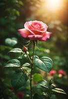 AI generated view of beautiful Rose in nature photo
