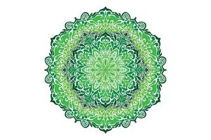 vistoso mandala ornamento vector