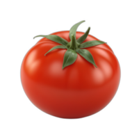 Tomate png Bild