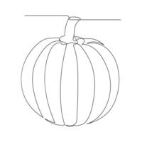 Vector in one continuous line drawing of pumpkin illustration concept of vegetables minimal design