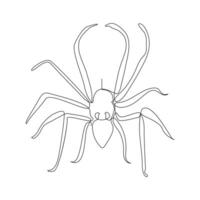 Vector in one continuous line drawing of spider illustration minimal design editable stroke