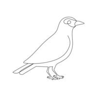 Vector in one continuous line drawing of bird best use for logo, poster, banner and background.