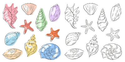 Set of seashell in line art style. Undersea shells of starfish, scallop, conch, spiral. Blue color. Vector illustration.