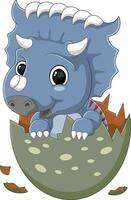 Cartoon baby kosmoceratops dinosaur hatching from egg vector