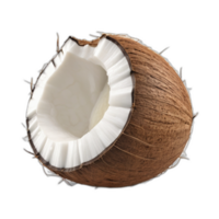 3d rendered Coconut png