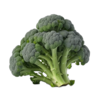 3d reso fresco broccoli png