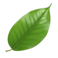 3d rendered green leaf png