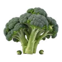 3d reso fresco broccoli png