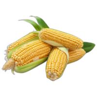 3d rendered Fresh raw corn png